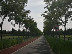 -上海长兴岛郊野公园