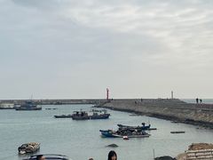 -南澳岛打卡果汁冰公司