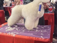 -东浩兰生上海世博展览馆