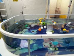 -唯丽莎婴儿游泳小儿推拿馆(清凉门大街店)