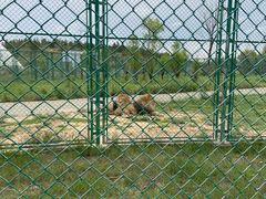 -鄂尔多斯野生动物园