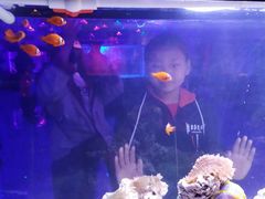 -常州海昌海洋探索馆