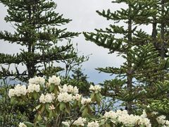 -海螺沟风景区