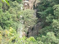 -九龙江国家森林公园