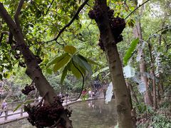 -巴厘龙虾·榜首油焖大虾(洞庭·艺术洋房店)