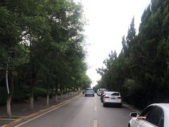 -养马岛旅游度假区