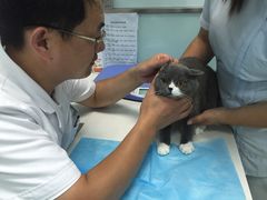 -纳吉亚猫专科动物医院博雅分院