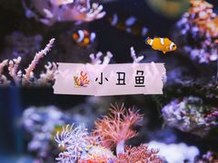 -南昌海洋公园