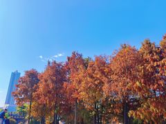 -厦门园林博览苑