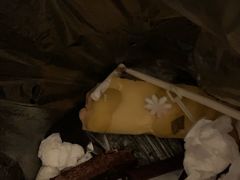-Madeleine玛德琳(永平里店)