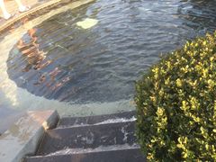 -航空小镇温泉