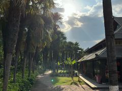 -云南民族村