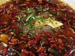 毛血旺-庆合府重庆大排档(紫都城店)