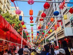 -越秀西湖花市(广州城市广场花卉店)