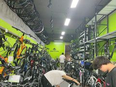 -道路口单车爱瓦士dahon大行