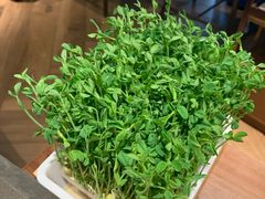 豆苗-捞王锅物料理(上海世茂广场店)