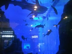 -成都浩海立方海洋公园