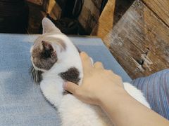 -老屋咖啡