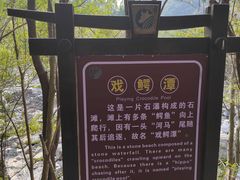 -石台牯牛降景区