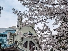 -武汉大学-樱园