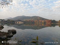 -长广溪湿地公园
