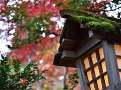 -常寂光寺