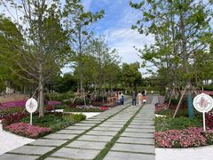 -春花秋色城市公园