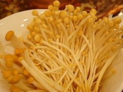 -老码头火锅(玉林店)