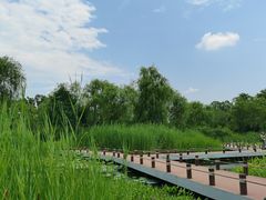 -翠湖国家城市湿地公园