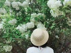 -堤角公园