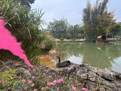 -湖泉半山温泉(湖泉生态园)