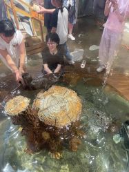 -Zoolung Zoolung动物主题公园(海信广场店)