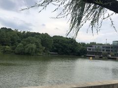 -红梅公园