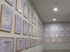 -编程猫·少儿编程(绿宝校区)
