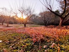 -东湖落雁景区