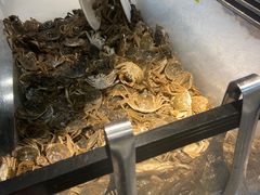 -圣罗巴海鲜烤肉自助(佳兆业店)
