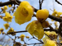 -白塘生态植物园