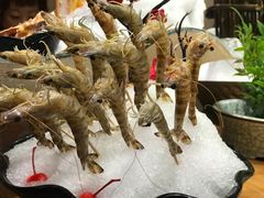 -尚海豆捞(乐虹坊店)