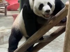 -栾川竹海野生动物园
