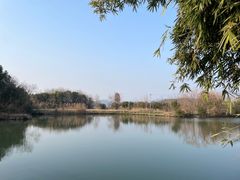 -白塔湖国家湿地公园