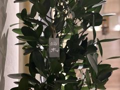 -成川茶店·潮汕工夫浓茶(万象店)