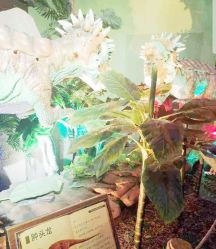 -恐龙探索乐园(磁器口店)