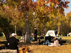 -上海海湾国家森林公园