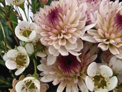 -循礼门鲜花花市(武汉循礼门店)