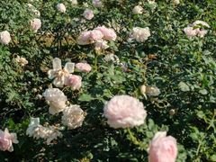 -人民公园(罗湖区)