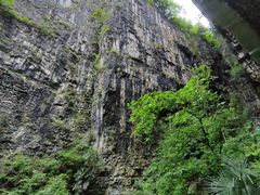 -鹿院坪生态旅游景区