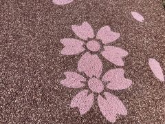 -顾村公园