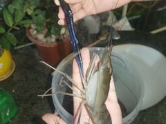 -粮心小农·大头虾亲子生态园(长发店)