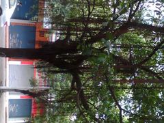 android_upload_pic-丹霞山风景名胜区