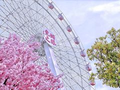 -东湖磨山景区